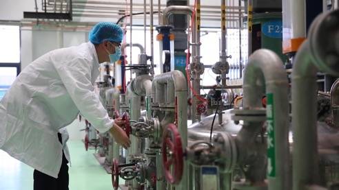 責任民企顯擔當，靠上服務助復產——泰安生物技術企業馳援抗疫一線